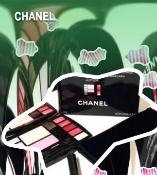 Chanel make up bag