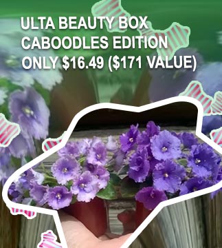 Ulta caboodle